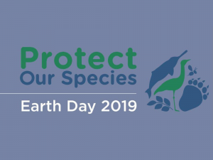 Image with text that reads Protect Our Species Earth Day 2019